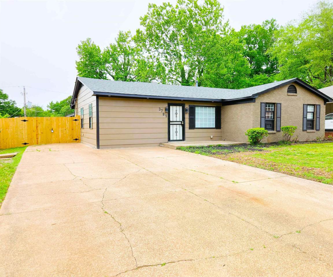 3785 Ladue St - Photo 1