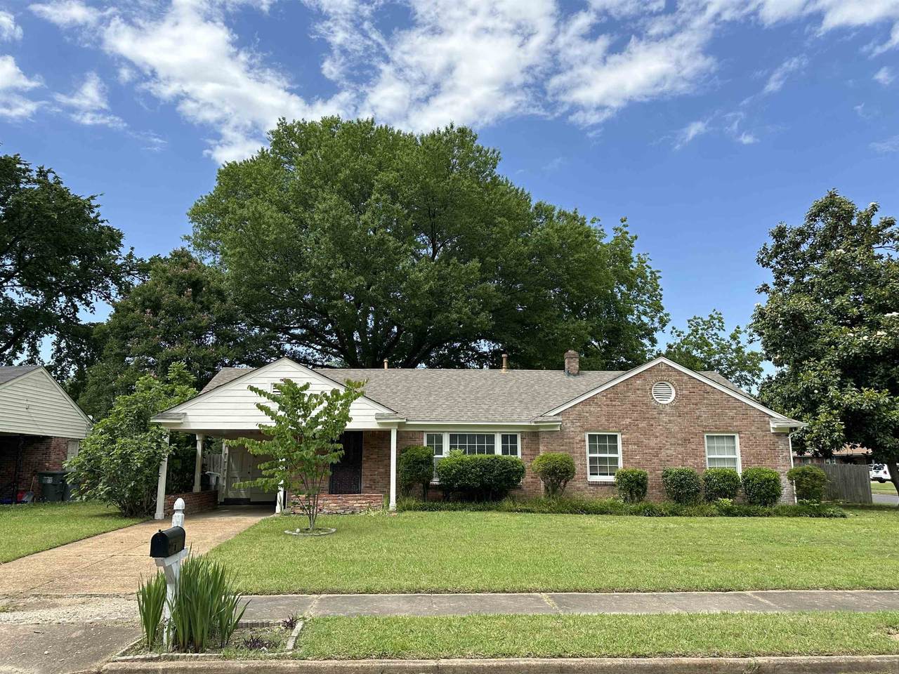 5138 Whitehall Ave - Photo 1