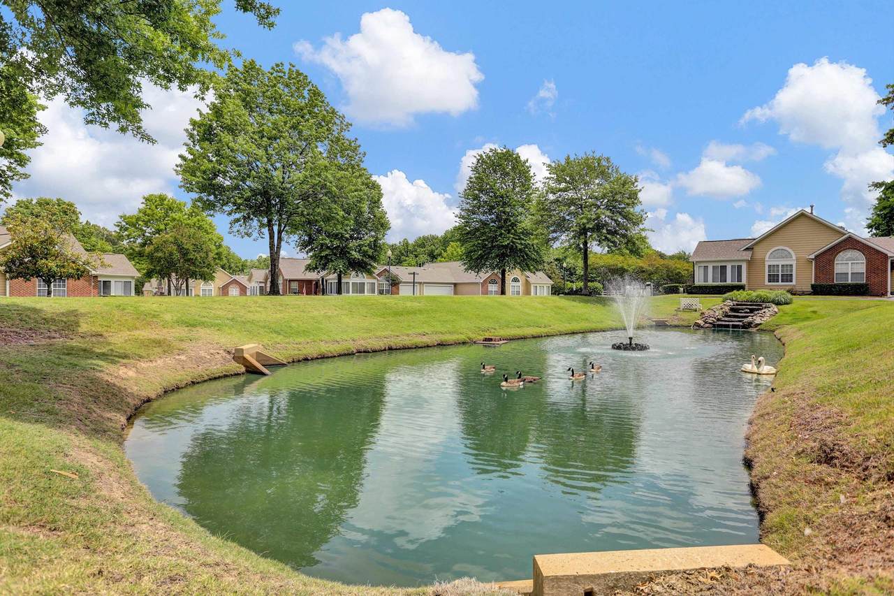 https://bt-photos.global.ssl.fastly.net/memphis/1280_boomver_1_10222145-2.jpg