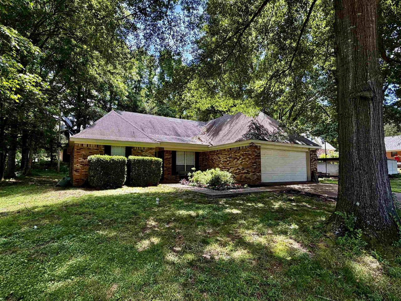 165 Dee Rd - Photo 1
