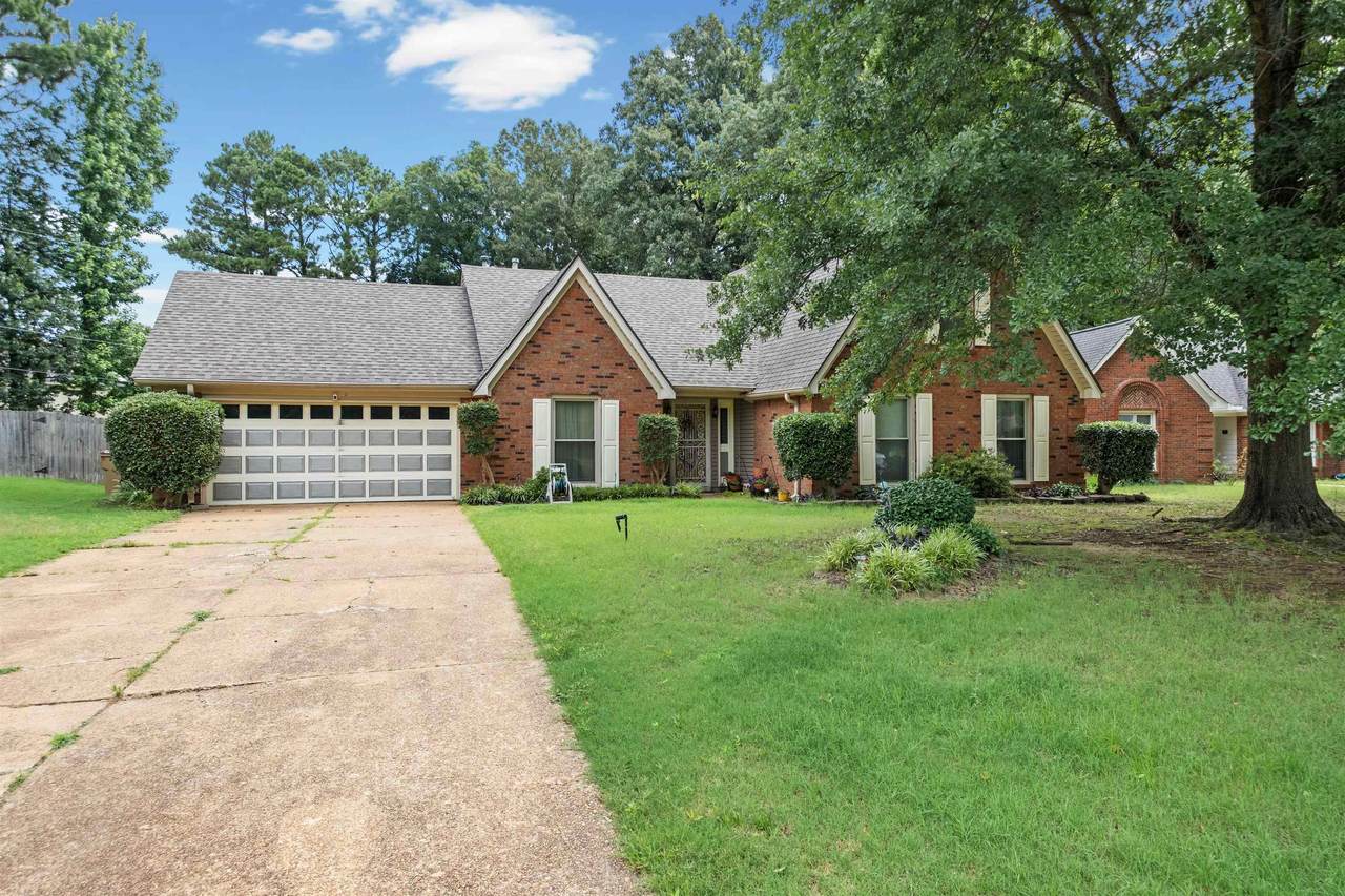 7188 Autumn Forrest Dr - Photo 1
