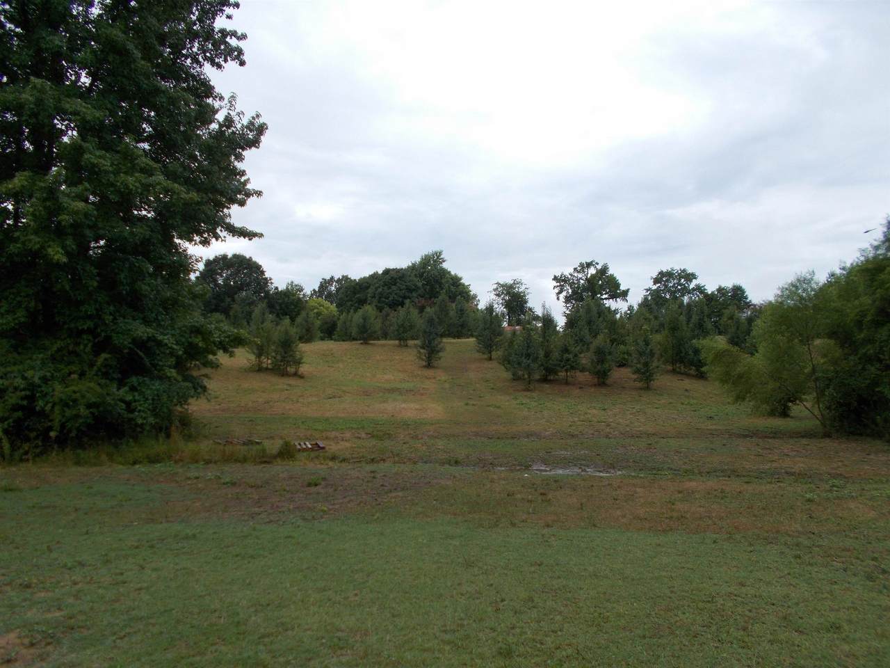 925 Pisgah Rd - Photo 1