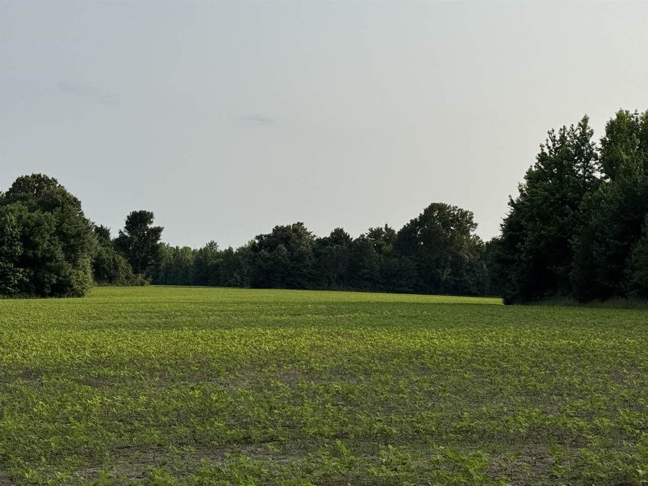 https://bt-photos.global.ssl.fastly.net/memphis/1280_boomver_1_10189025-2.jpg