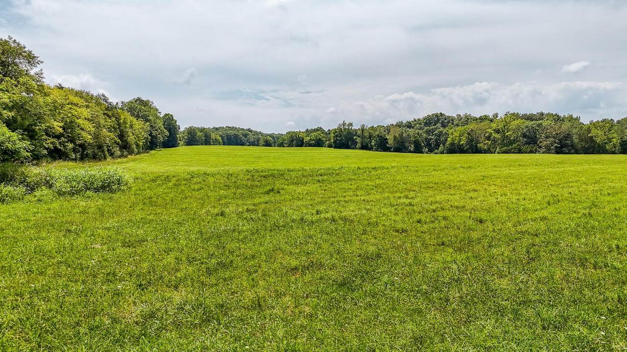 2245 Big Ivy Rd - Photo 1