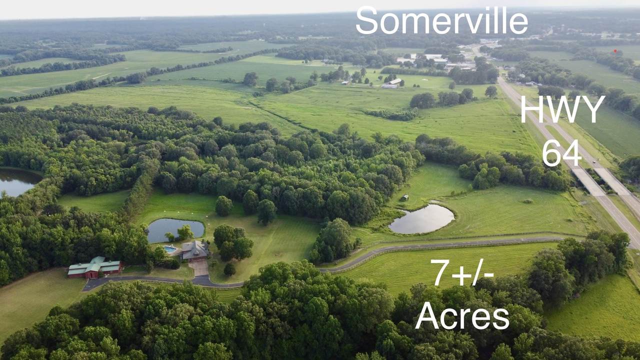 7 ACRES Us 64 Hwy - Photo 1
