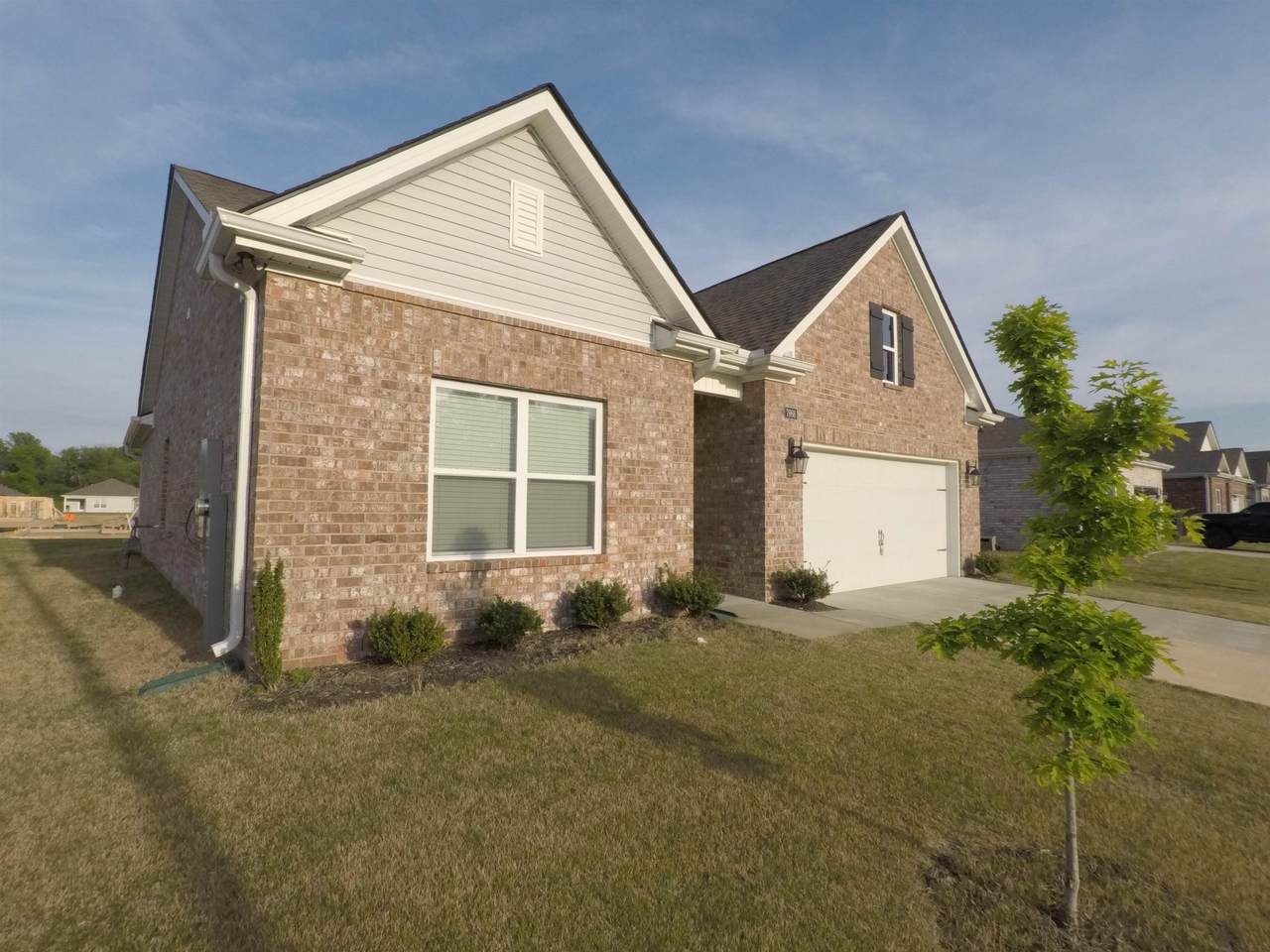https://bt-photos.global.ssl.fastly.net/memphis/1280_boomver_2_10220254-2.jpg