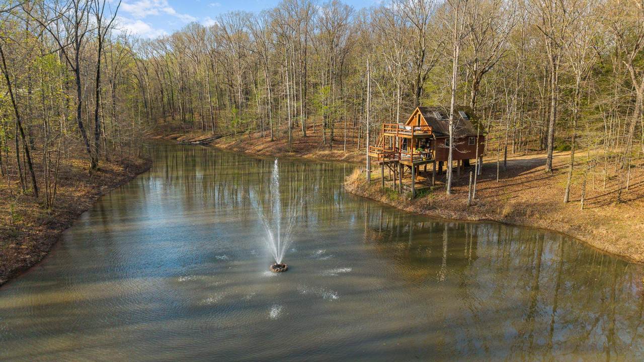 https://bt-photos.global.ssl.fastly.net/memphis/1280_boomver_3_10218789-2.jpg