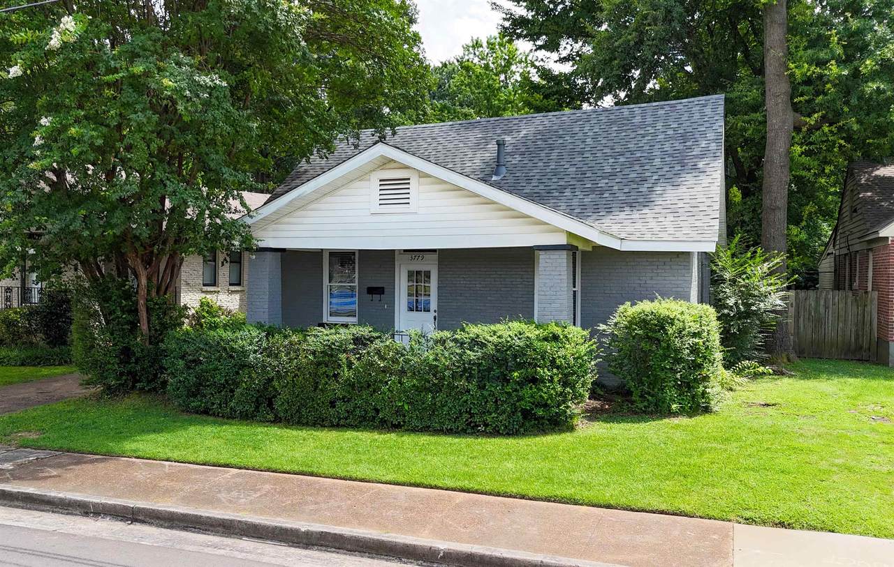 3779 Spottswood Ave - Photo 1