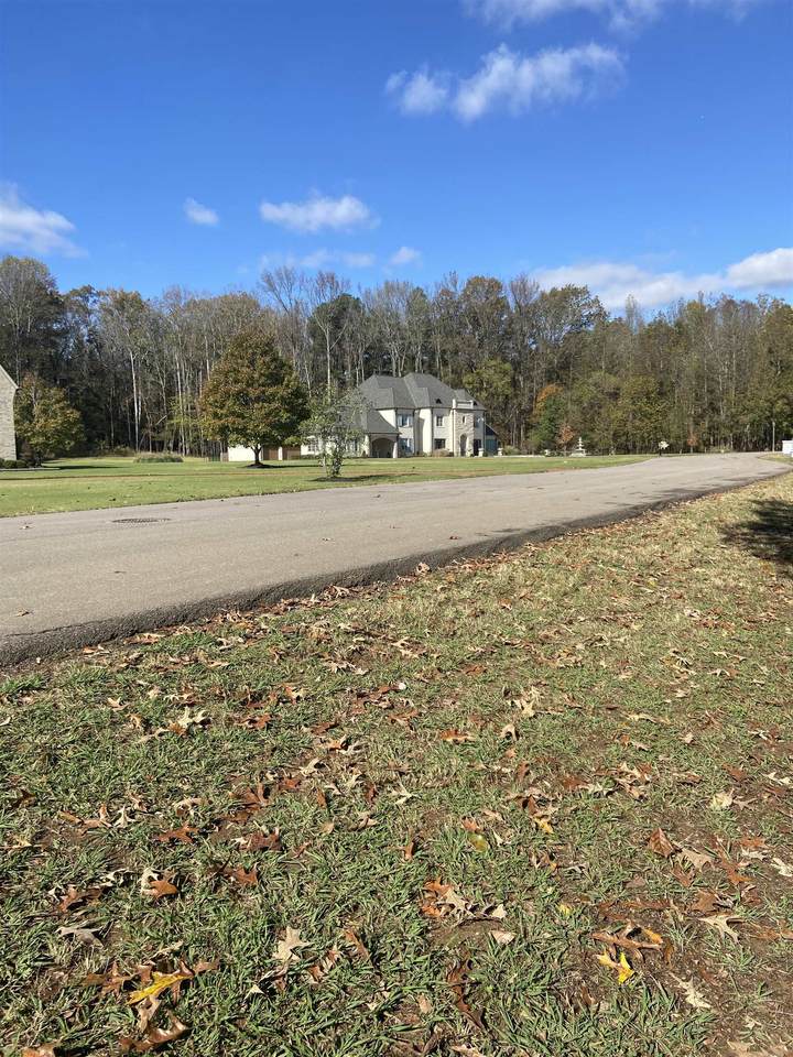 https://bt-photos.global.ssl.fastly.net/memphis/1280_boomver_10_10185176-2.jpg