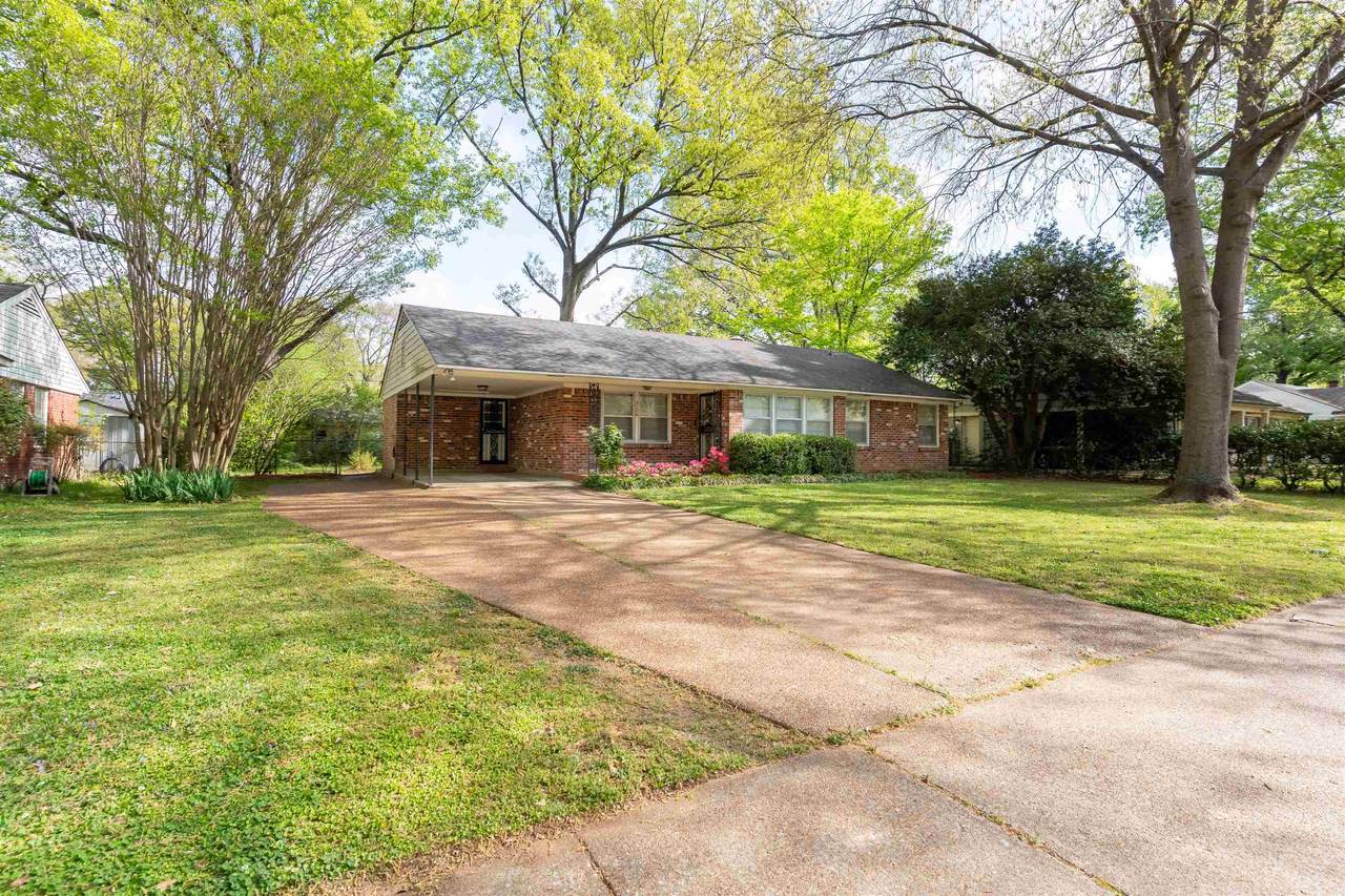5126 Sequoia Rd - Photo 1