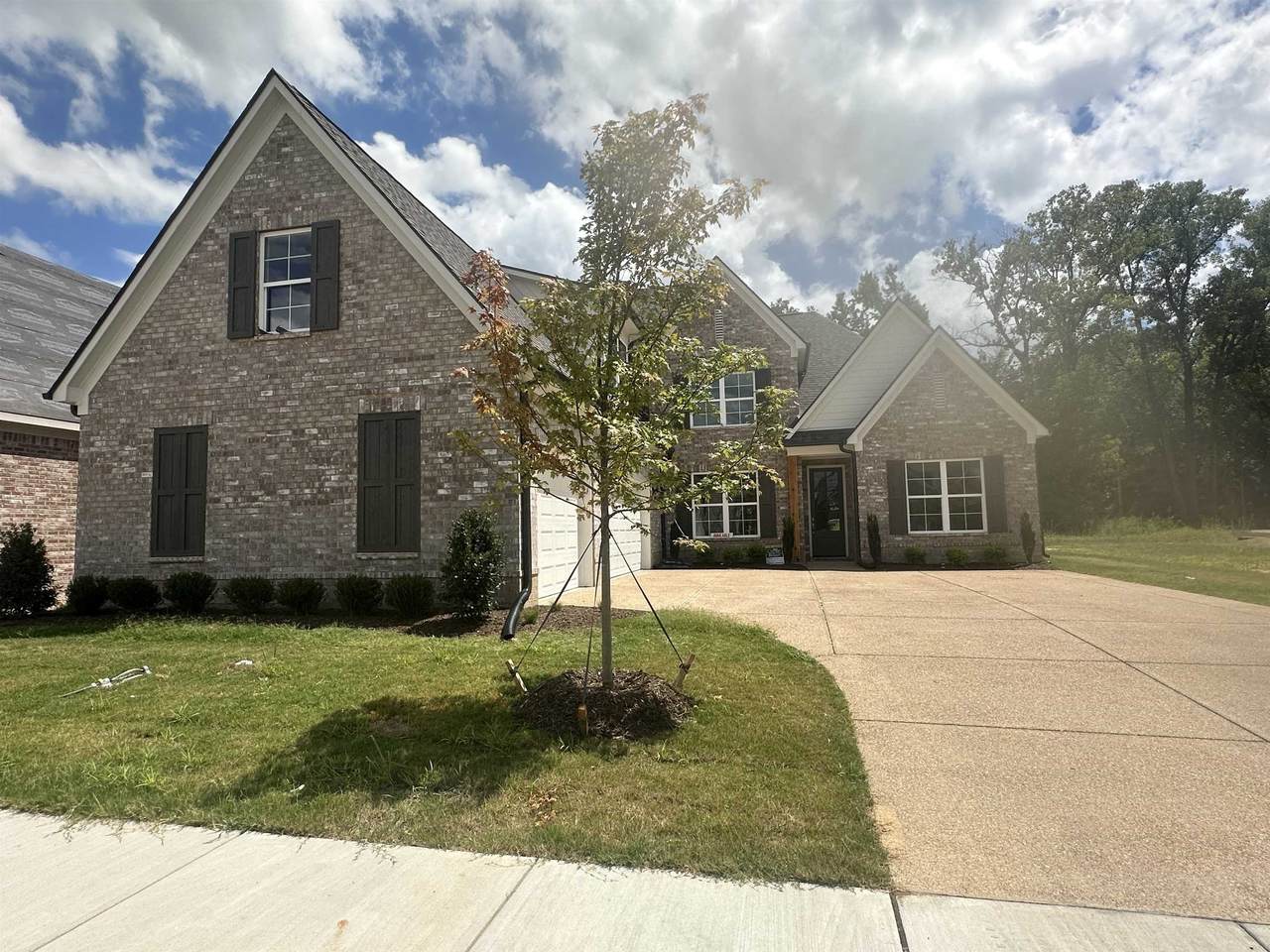 10147 Conner Field Ln - Photo 1