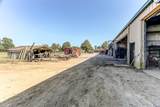 1175 Big Orange Rd - Photo 4