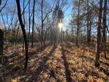 11764 Macon Rd - Photo 10