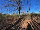11764 Macon Rd - Photo 8