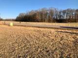 LOT 8 Caden Cv - Photo 6