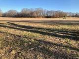 LOT 8 Caden Cv - Photo 8