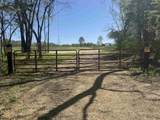  Burnett Rd - Photo 7
