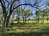  Burnett Rd - Photo 9