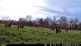 0 Burnett Rd - Photo 39
