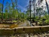 590 +/- ACRES Franklin Rd - Photo 1