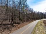 LOT 184 Deer Hollow Dr - Photo 3