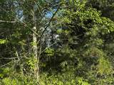 LOT 31 Catfish Ln - Photo 3