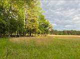 330 Lick Creek Rd - Photo 3