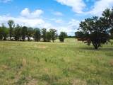 Bradley Rd - Photo 4