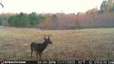 870 Price Rd - Photo 22