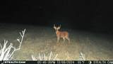 870 Price Rd - Photo 23