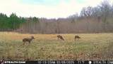870 Price Rd - Photo 24