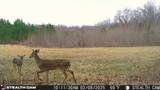 870 Price Rd - Photo 25
