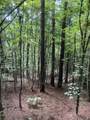  County Road 437 Rd - Photo 2