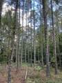  County Road 437 Rd - Photo 3