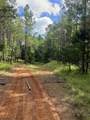  County Road 437 Rd - Photo 4