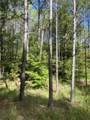  County Road 437 Rd - Photo 5