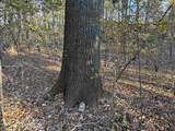 0 Ms-301 Hwy - Photo 4