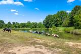 8508 Campground Rd - Photo 14