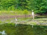 LOT 5 Jason Hollow Rd - Photo 12