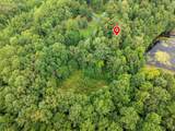 213 Jason Hollow Rd - Photo 8