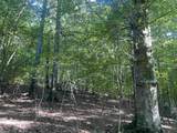 1 Friendship Loop - Photo 16