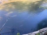 1 Friendship Loop - Photo 23