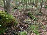 CAVE HOLLOW Address Not Published Ln - Photo 3