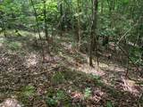 CAVE HOLLOW Address Not Published Ln - Photo 4