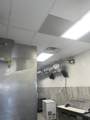 4202 Winchester Rd - Photo 5