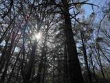 5085 Hardin Graveyard Rd - Photo 18