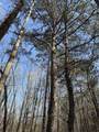 5085 Hardin Graveyard Rd - Photo 20