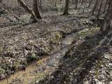 5085 Hardin Graveyard Rd - Photo 36