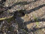 5085 Hardin Graveyard Rd - Photo 38