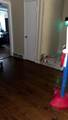 4023 Mcweeny St - Photo 3